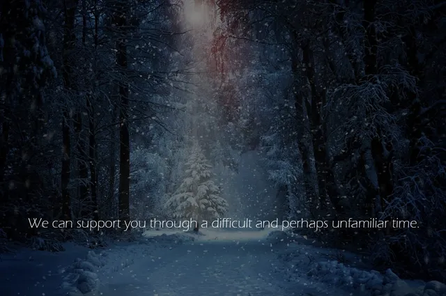 You Are Not Alone Elder Care LLC