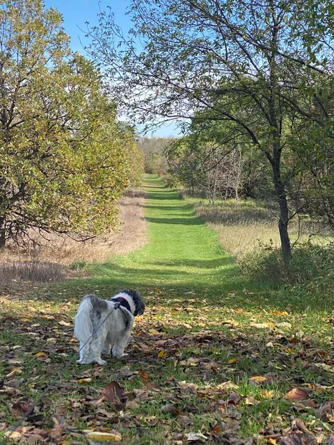 Mississippi River Park