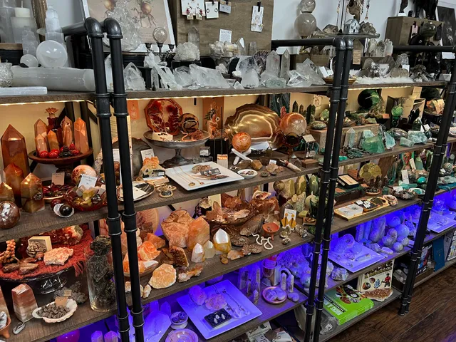 Forest, Stone and Sea