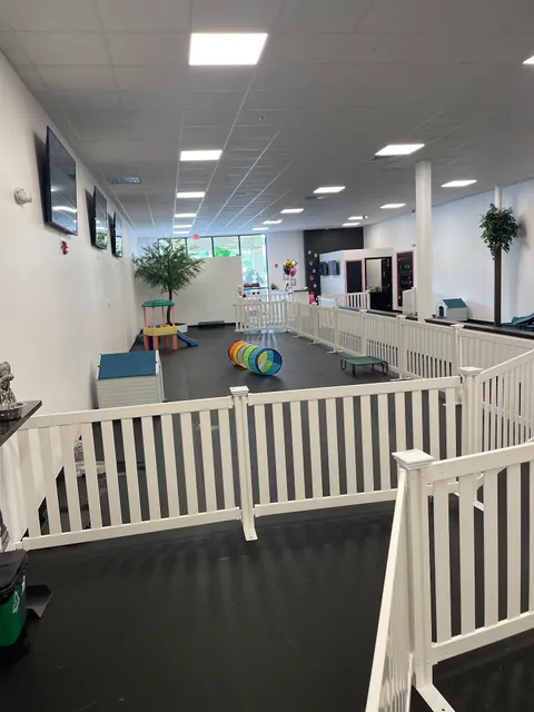 Pawsitive Purrfection Pet Resort