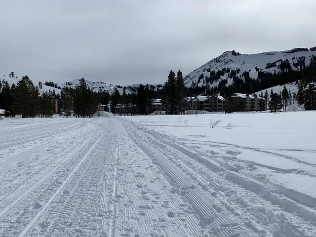 Cross Country Center