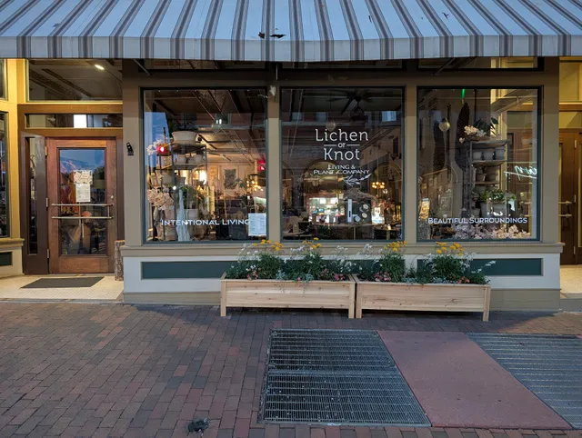 Lichen or Knot Living & Plant Co