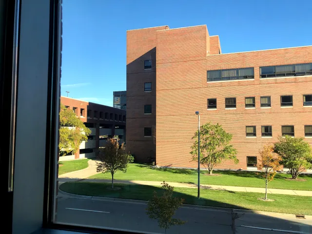 Michigan State University College of Law