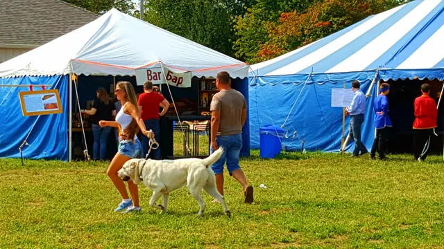 Ann Arbor Russian Festival