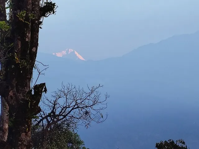 Pitam Deurali View Point