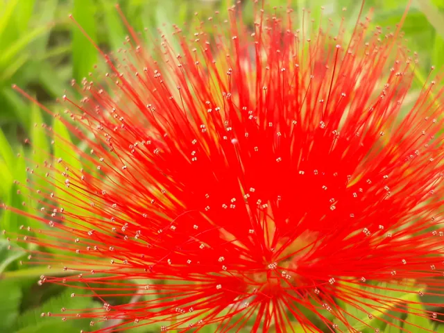 Parque do Software de Curitiba