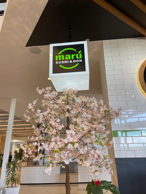 Maru Sushi & Don Silverdale