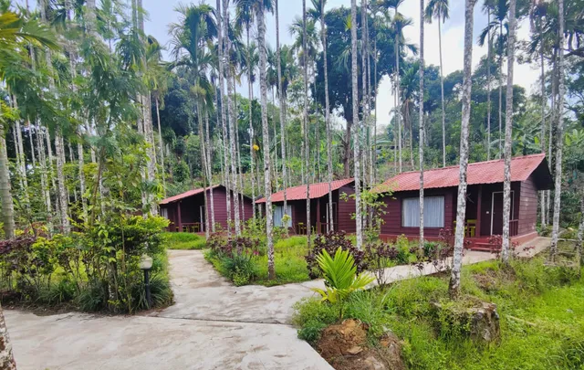 Lazo Areca Resort , Coorg