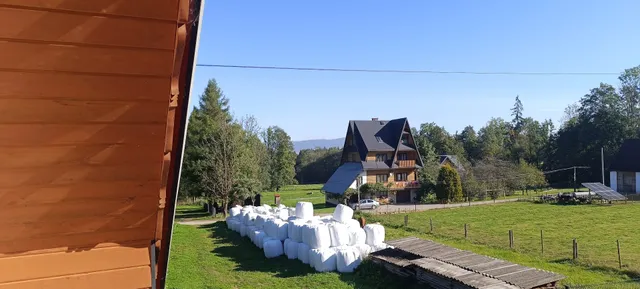 Apartamenty w cichej okolicy