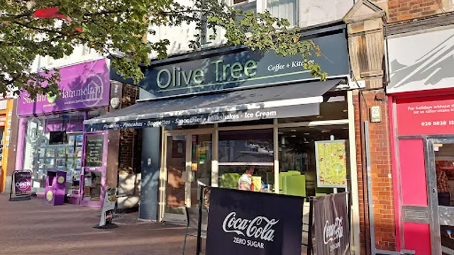 Olive Tree