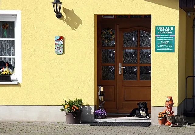 Pension & Ferienhof Schöne