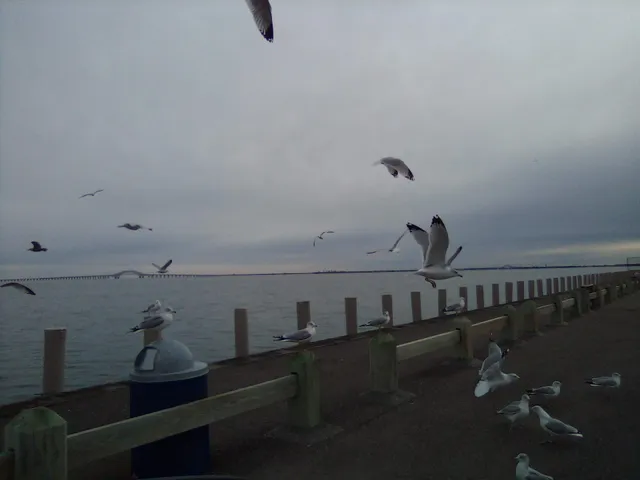 Babylon Village Pool - Residents Only