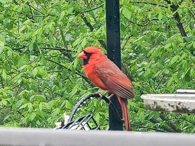 Audubon Nature Store