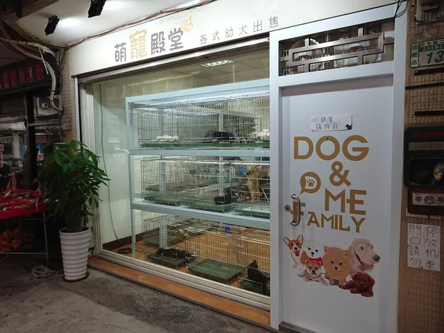 寵萌殿堂Chong Meng／預約制／連續榮獲新北市政府寵物評鑑優等店家／高質量花色系純色系貴賓犬培育·迷你馬爾濟斯培育·特殊色長毛臘腸培育·新埔捷運站犬舍