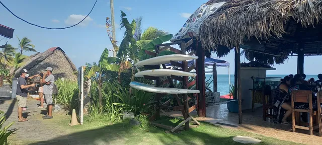 El Palmar San Carlos