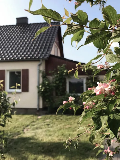 Agroturystyka Pod Jeleniem