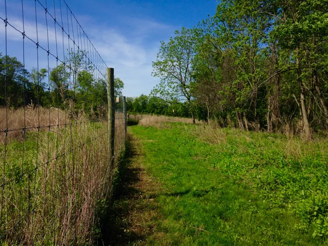 South Branch Preserve