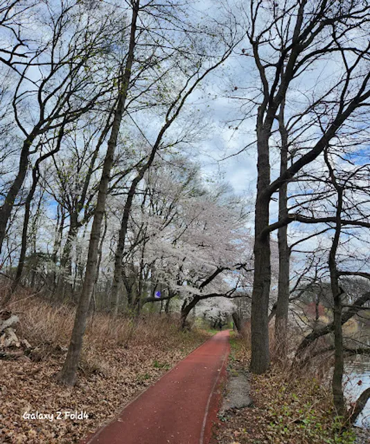 Weequahic Lake Trail