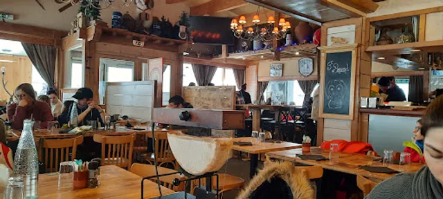 Le Saint Bernard Pyrénées 2000