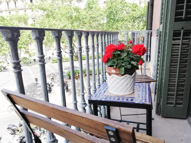 Casa Consell Gran Via, Guest House