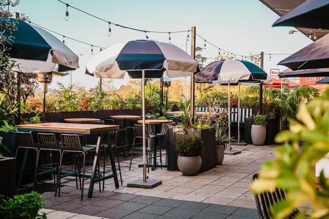 Something & Social Albany