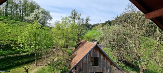 Ferienwohnung Jolly Joker