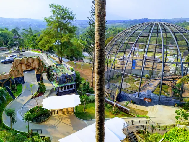 Sparks Forest Adventure