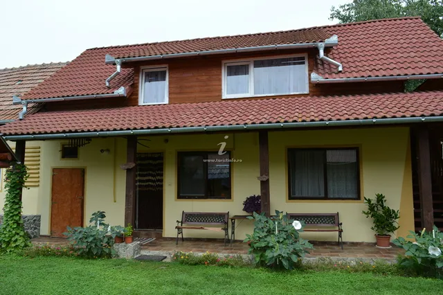 Casa Bunici Cârțișoara