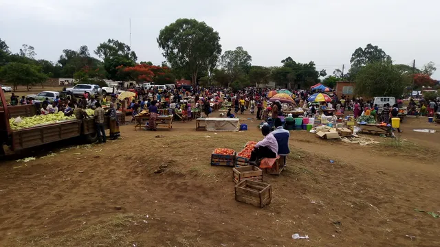 Monday Wednesday and Friday Market