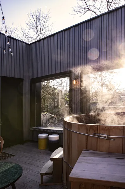 Night Experience By zoo Bordeaux Pessac