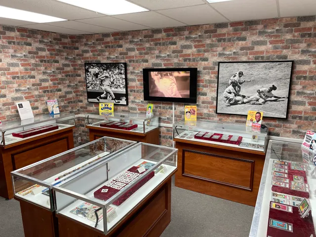 The Sports Card Vault