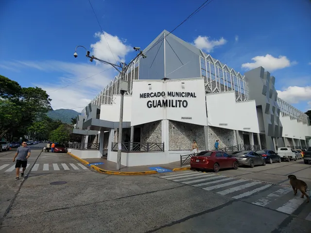 Mercado Guamilito