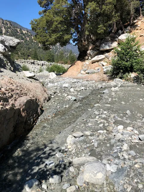 Vivian Creek Trail Parking Lot