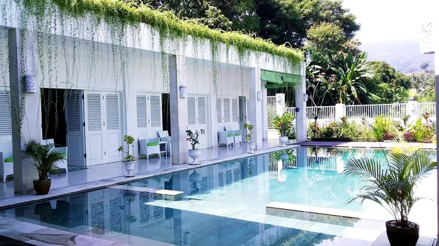 Villa putih lovina