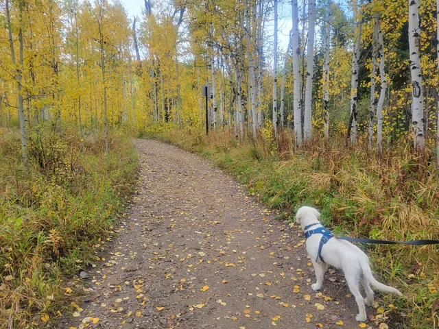 Spring Creek Trail Head