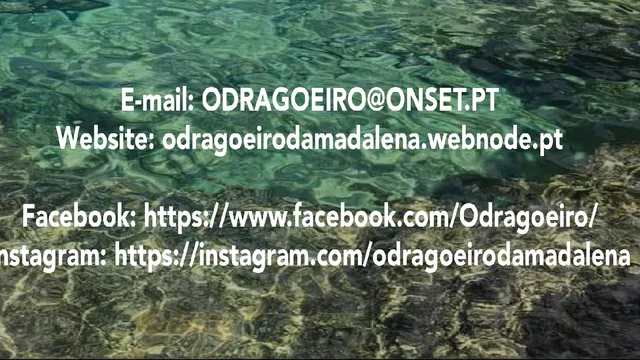 O Dragoeiro da Madalena