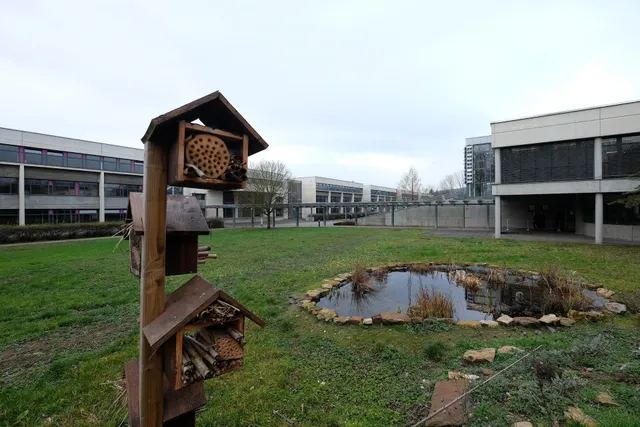 School Stanislas Polyvalent