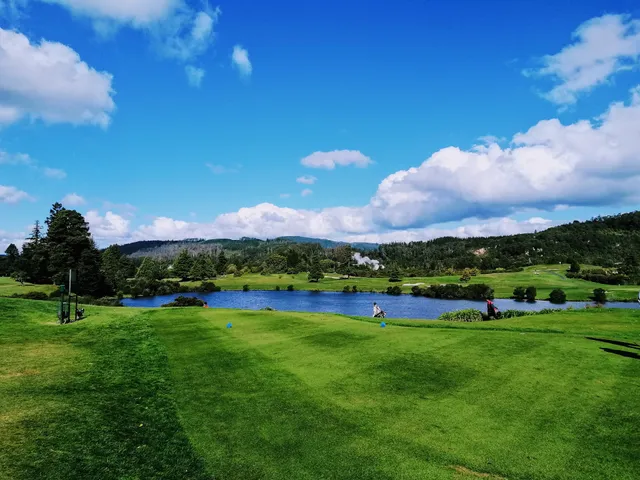 Arikikapakapa Reserve