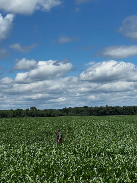 Long Acres Potato Farms