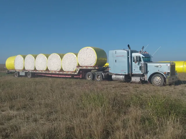 Miles Cooperative Gin Co