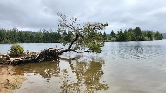 East Woahink Lake Day-Use Area