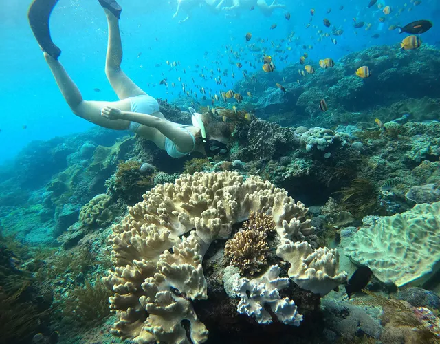 Manta Snorkeling Nusa Penida | Snorkeling in Bali