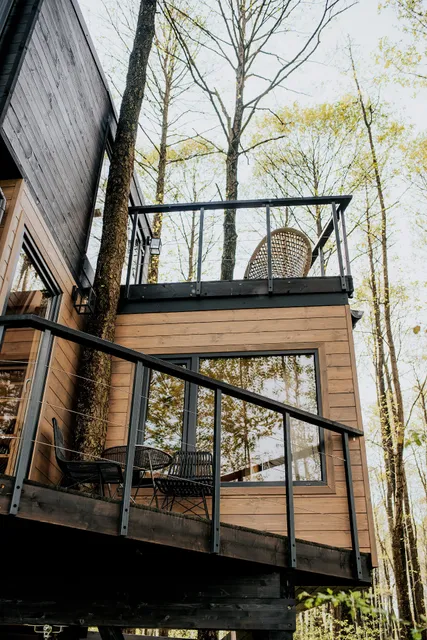 DZIKI LAS domki na drzewach