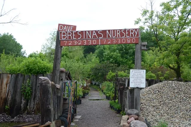 Dave Bresina's Nursery