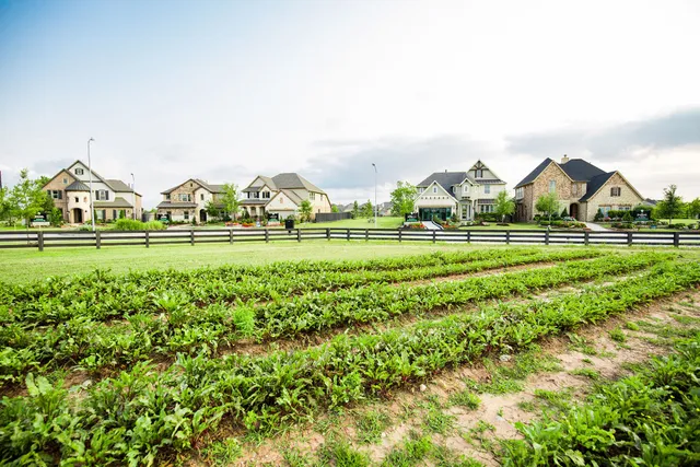 Harvest Green 65' - David Weekley Homes