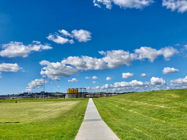 Barry Curtis Park Playgrounds