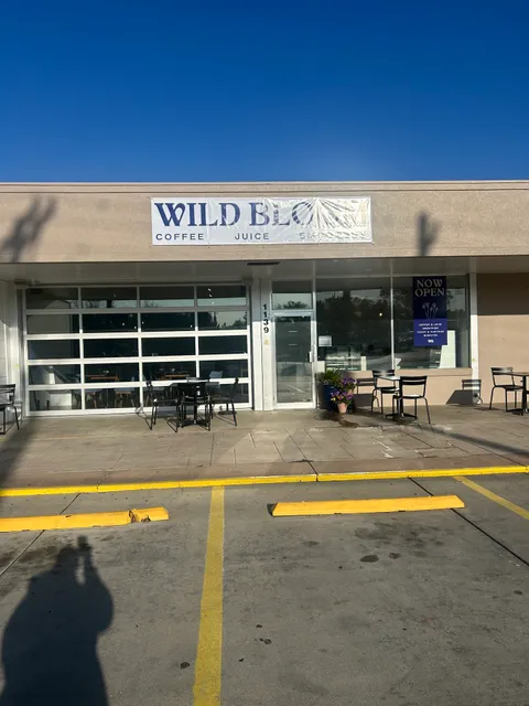 Wild Bloom Coffee Collective