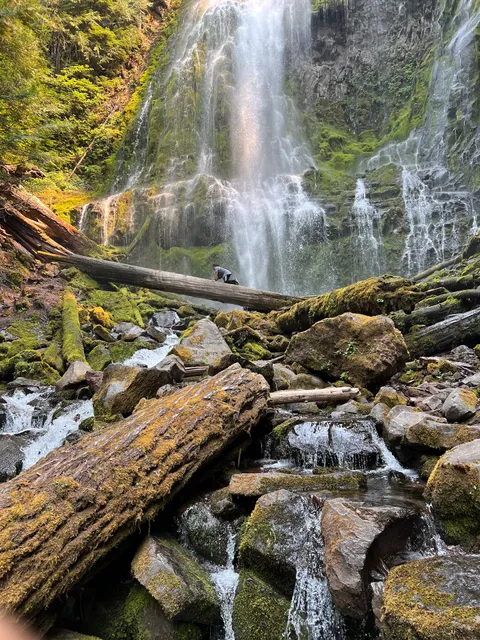 Proxy Falls