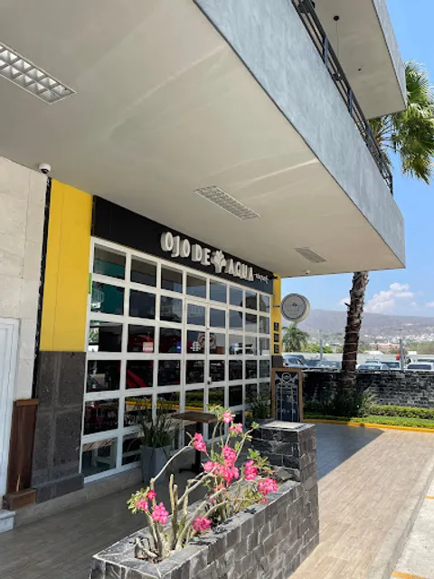 OJO DE AGUA VIA PARK