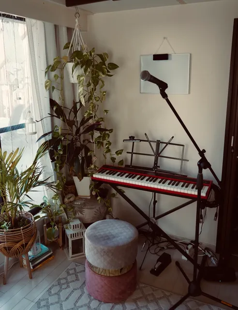 Sunrise Vocal School